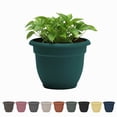 thumbnail image 1 of Bloem Ariana 16" Self-Watering Plastic Planter - Rolled Rim Indoor/Outdoor Garden Pot, Charleston Green, 1 of 7