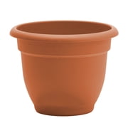 Bloem Ariana 16" Self-Watering Plastic Planter - Rolled Rim Indoor/Outdoor Garden Pot, Terra Cotta