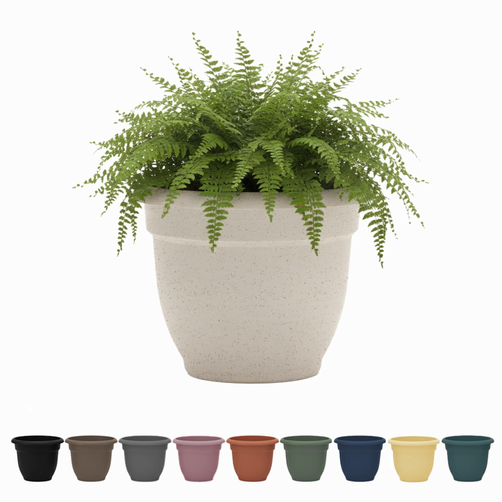 Bloem Ariana 6" Vanilla Bean Round Self-Watering Resin Planter Pot - Rolled Rim Indoor and Outdoor Gardening Planter