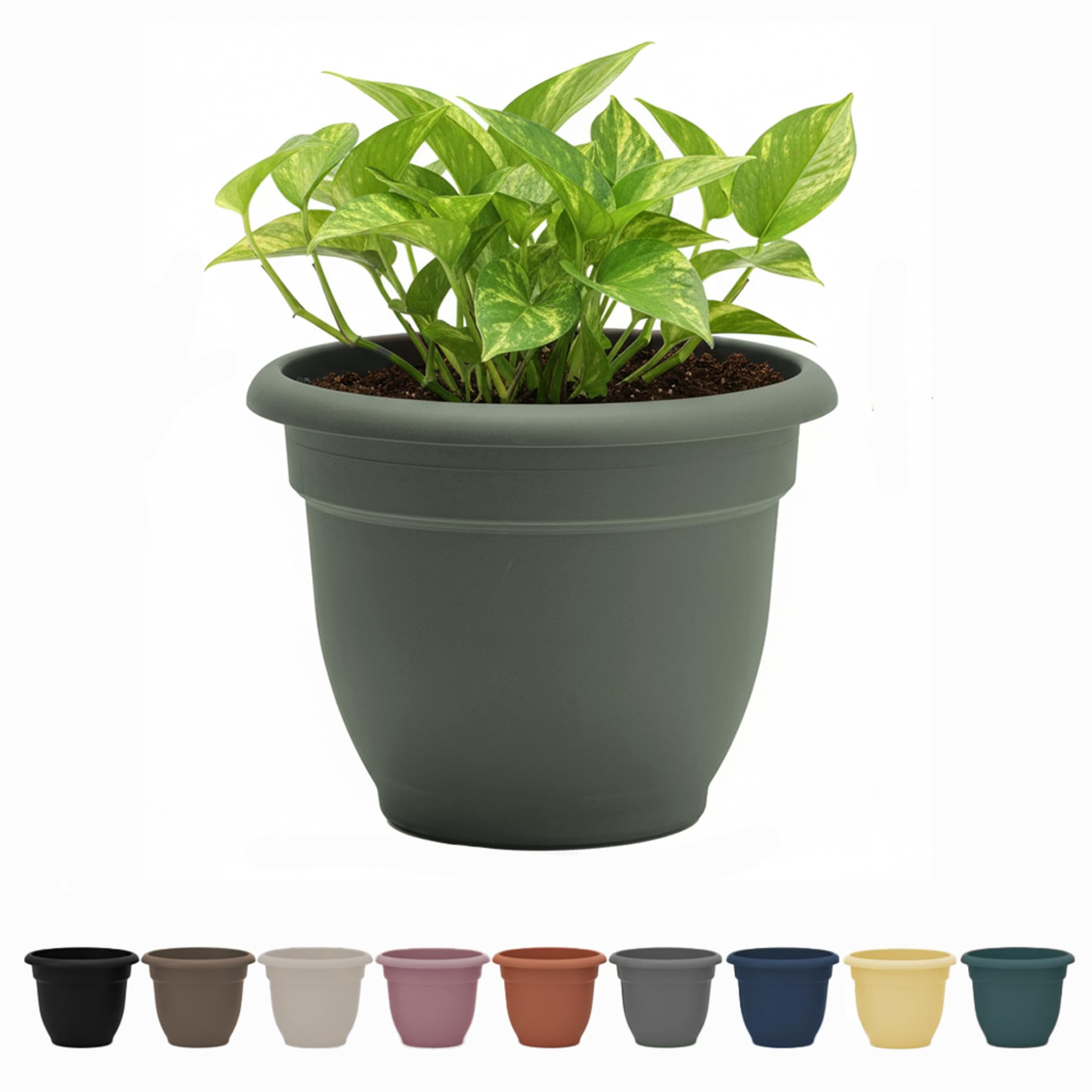 Bloem Ariana 8" Basil Round Self-Watering Resin Planter Pot - Rolled Rim Indoor and Outdoor Gardening Planter