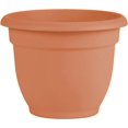 thumbnail image 1 of Bloem Ariana Planter Grid - Self-Watering Plastic Round Planter - Small, Red, 1 of 6