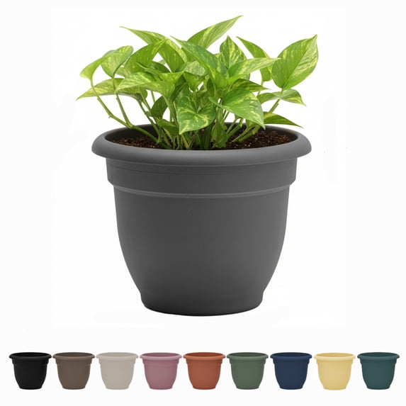 Bloem Ariana 12" Self-Watering Plastic Planter - Rolled Rim Indoor/Outdoor Garden Pot, Charcoal