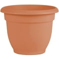 thumbnail image 1 of Bloem Ariana 12" Round Self-Watering Resin Planter Pot - Rolled Rim Indoor and Outdoor Planter, Muted Terra Cotta, 1 of 6