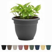 Bloem Ariana 16" Self-Watering Plastic Planter - Rolled Rim Indoor/Outdoor Garden Pot, Charcoal