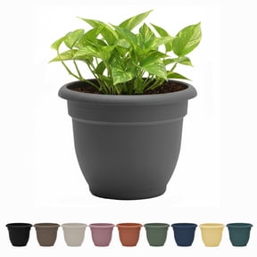 Bloem Ariana 16" Self-Watering Plastic Planter - Rolled Rim Indoor/Outdoor Garden Pot, Charcoal