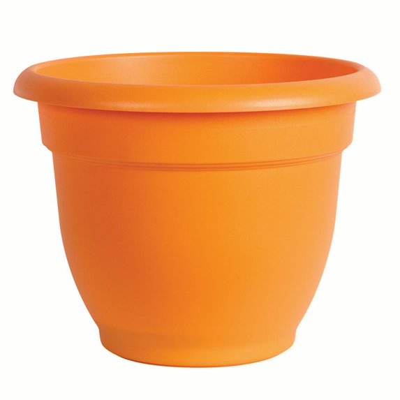 Bloem Ariana Self Watering Plastic Planter 16" Tequila Sunrise