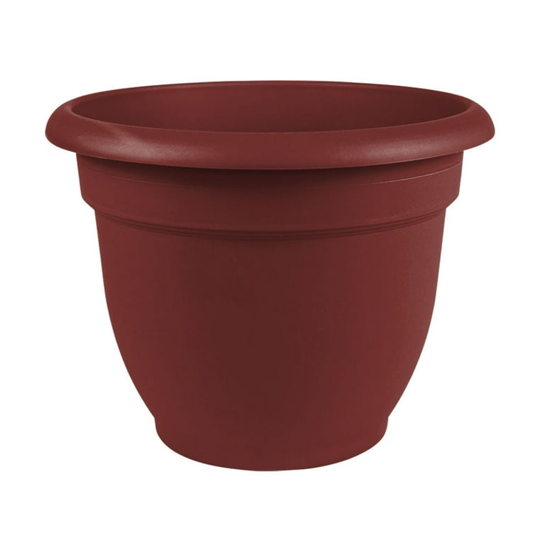 Bloem Ariana Self Watering Planter 6 Bloem Ariana Self Watering Planter 6