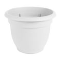 thumbnail image 1 of Bloem Ariana Self Watering Plastic Planter 6" White, 1 of 2