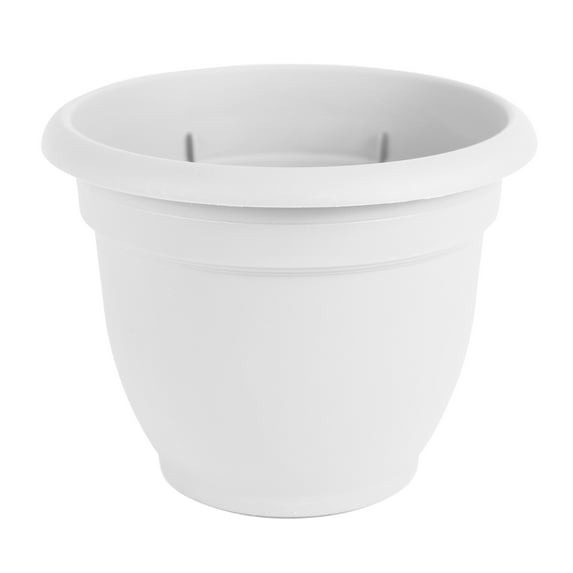 Bloem Ariana Self Watering Plastic Planter 6" White