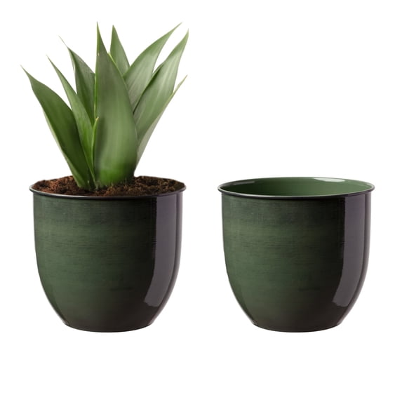Bloem Canyon 8" Indoor Metal Cachepot - Glossy Decorative Planter with Powder-Coated Finish, Removable Drain Plug, Basil, 2-Pack
