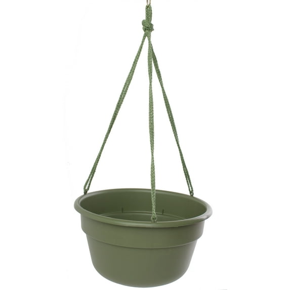 Bloem Dura Cotta Self Watering Hanging Basket Planter 10" Living Green