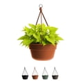 thumbnail image 1 of Bloem Dura Cotta 12" Terra Cotta Round Self Watering Hanging Basket Planter with Drainage with Macrame Cord Included, 1 of 6