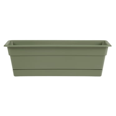 Bloem Dura Cotta Window Box Planter W/Tray 36 x 5.75 Plastic Rectangle Living Green