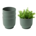 thumbnail image 1 of Bloem Enzo 6" Plastic Round Decorative Planter, Basil, 4-Pack, 1 of 8