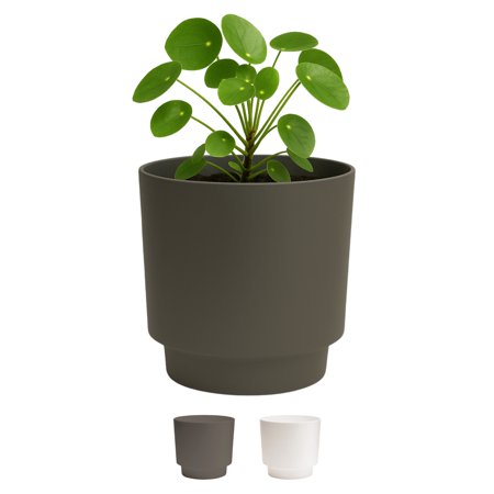 Bloem Harlow 6" Plastic Cachepot - Modern Indoor/Outdoor, Lightweight Planter, Peppercorn