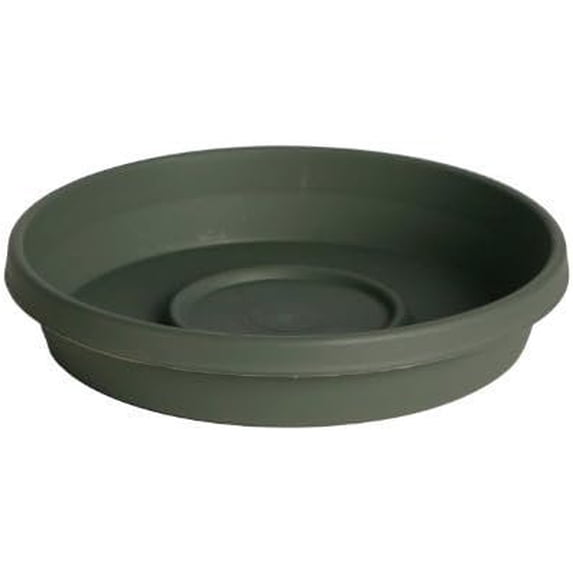 Bloem Llc 51420 20" Round Living Green Saucer