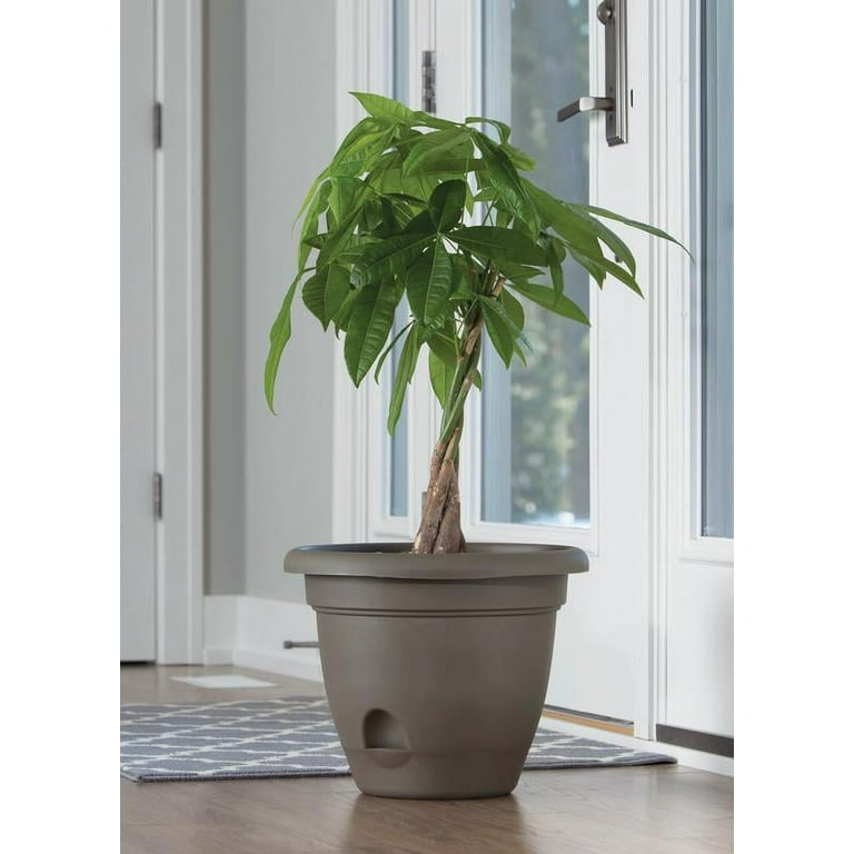 Bloem Lucca Self Watering Planter 14 Bloem Lucca Self Watering Planter 14
