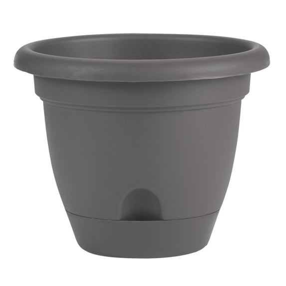 Bloem Lucca Self Watering Planter W/ Saucer 13.25 x 10.75 Plastic Round Charcoal Gray