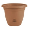 thumbnail image 1 of Bloem Lucca Self Watering Planter W/ Saucer 6.75 x 5.25 Plastic Round Terracotta, 1 of 6