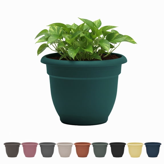 Bloem Ariana 12" Self-Watering Plastic Planter - Rolled Rim Indoor/Outdoor Garden Pot, Charleston Green