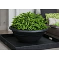 thumbnail image 1 of Bloem Milano Plant Bowl 24" Black, 1 of 2