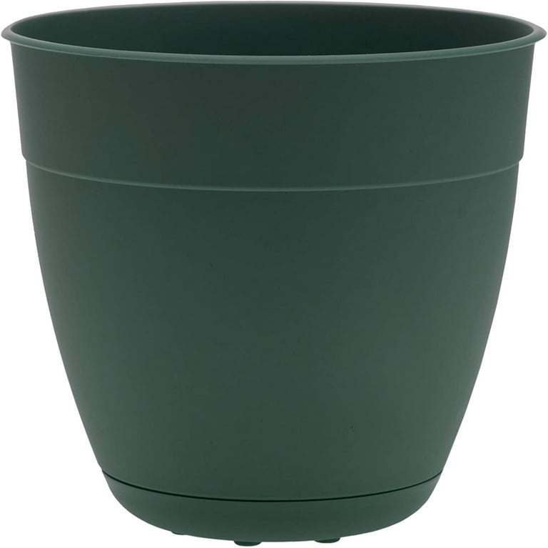 Bloem Dayton 11.25 in. H X 12 in. D Plastic Planter Turtle Green