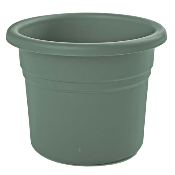Bloem Posy 6" Round Plastic Planter, UV-Resistant Indoor/Outdoor Pot, Basil