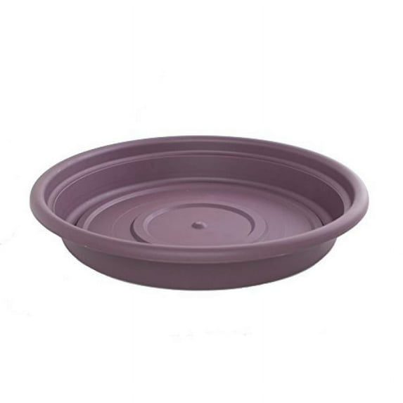 Bloem SDC656 6-Inch Dura Cotta Saucer Exotica - 24-Pack