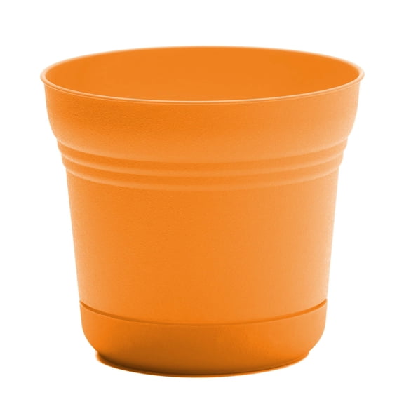 Bloem Saturn 7" Round Plastic Planter - Indoor/Outdoor, Snap-in Saucer & Drainage Holes, Mango