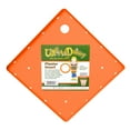 thumbnail image 1 of Bloem Square Ups-A-Daisy Planter Filler- 12 Pack, 1 of 5