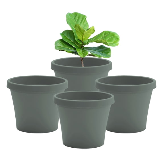 Bloem Terra 12" Round Plastic Planter with Drainage Holes - Indoor/Outdoor, 2 Gallon Capacity, Lightweight Garden Pot, Basil, 4-Pack