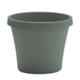 thumbnail image 1 of Bloem Terra 8" Round Plastic Planter with Drainage Holes - Indoor/Outdoor, 1 Gallon Capacity, Lightweight Garden Pot, Basil Green, 1 of 5