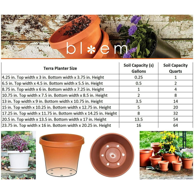 Bloem Terra Pot Planter 6 Bloem Terra Pot Planter 6