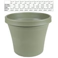 thumbnail image 1 of Bloem Terra Pot Planter 12" Living Green, 1 of 2