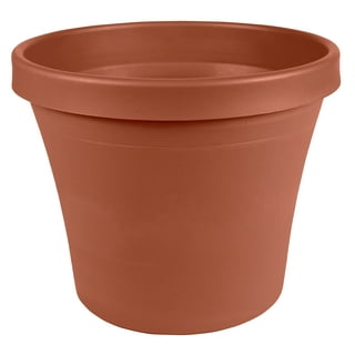 https://i5.walmartimages.com/seo/Bloem-Terra-Pot-Planter-20-Terra-Cotta_ca4d912e-2d16-457f-bdbe-9b9ce276b6d6.595caf59c9ae4d88ae4d38975de32d25.jpeg?odnHeight=320&odnWidth=320&odnBg=FFFFFF