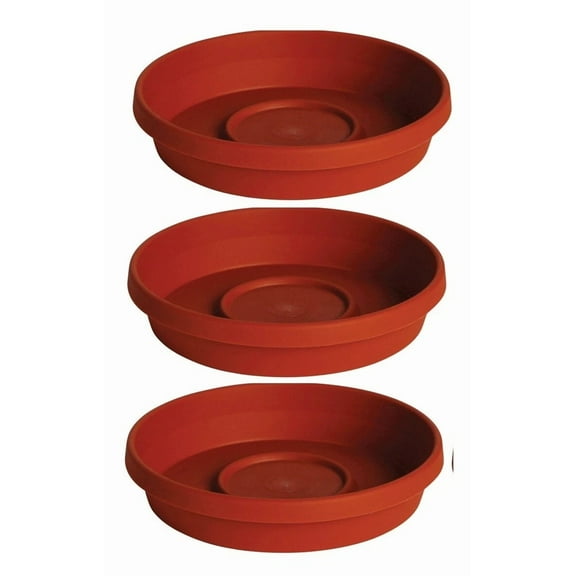 Bloem Terratray 0.7" H X 3.75" D Resin Traditional Tray Terracotta Clay 3 Pk