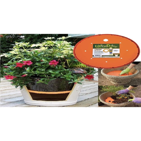 Bloem Ups-A-Daisy Orange Plastic Round Plant Insert 1 pk