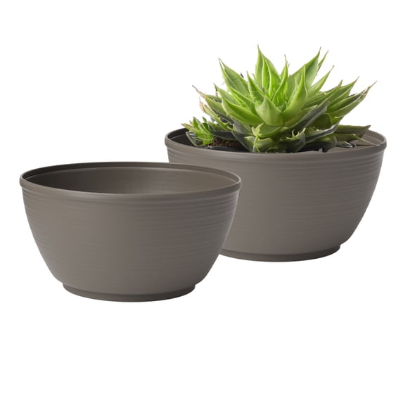Bloem Willow 12" Plastic Planter Bowl, Shallow Round Pot for Cacti, Succulents, Herbs, and Moss, Peppercorn 2-Pack