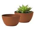 thumbnail image 1 of Bloem Willow 12" Plastic Planter Bowl, Shallow Round Pot for Cacti, Succulents, Herbs, and Moss, Terra Cotta, 2-Pack, 1 of 5