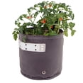 thumbnail image 1 of BloemBagz Classic Planter Grow Bag 3 Gallon Peppercorn, 1 of 11