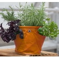 thumbnail image 1 of BloemBagz Mini Herb Hanging Planter Grow Bag 1.5 Gallon Tequila Sunrise, 1 of 8
