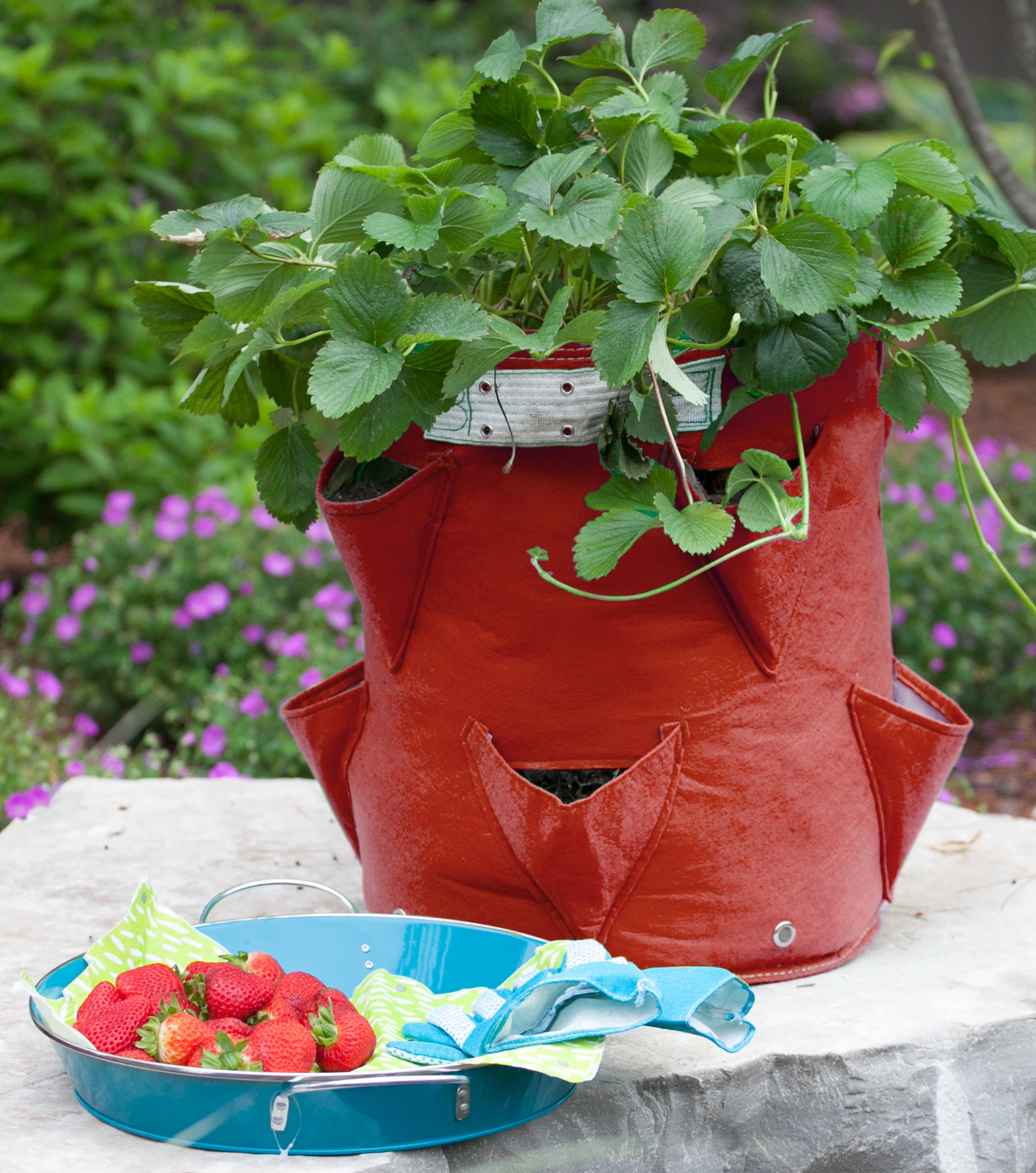 BloemBagz Strawberry Planter Grow Bag 9 Gallon, Union Red Color