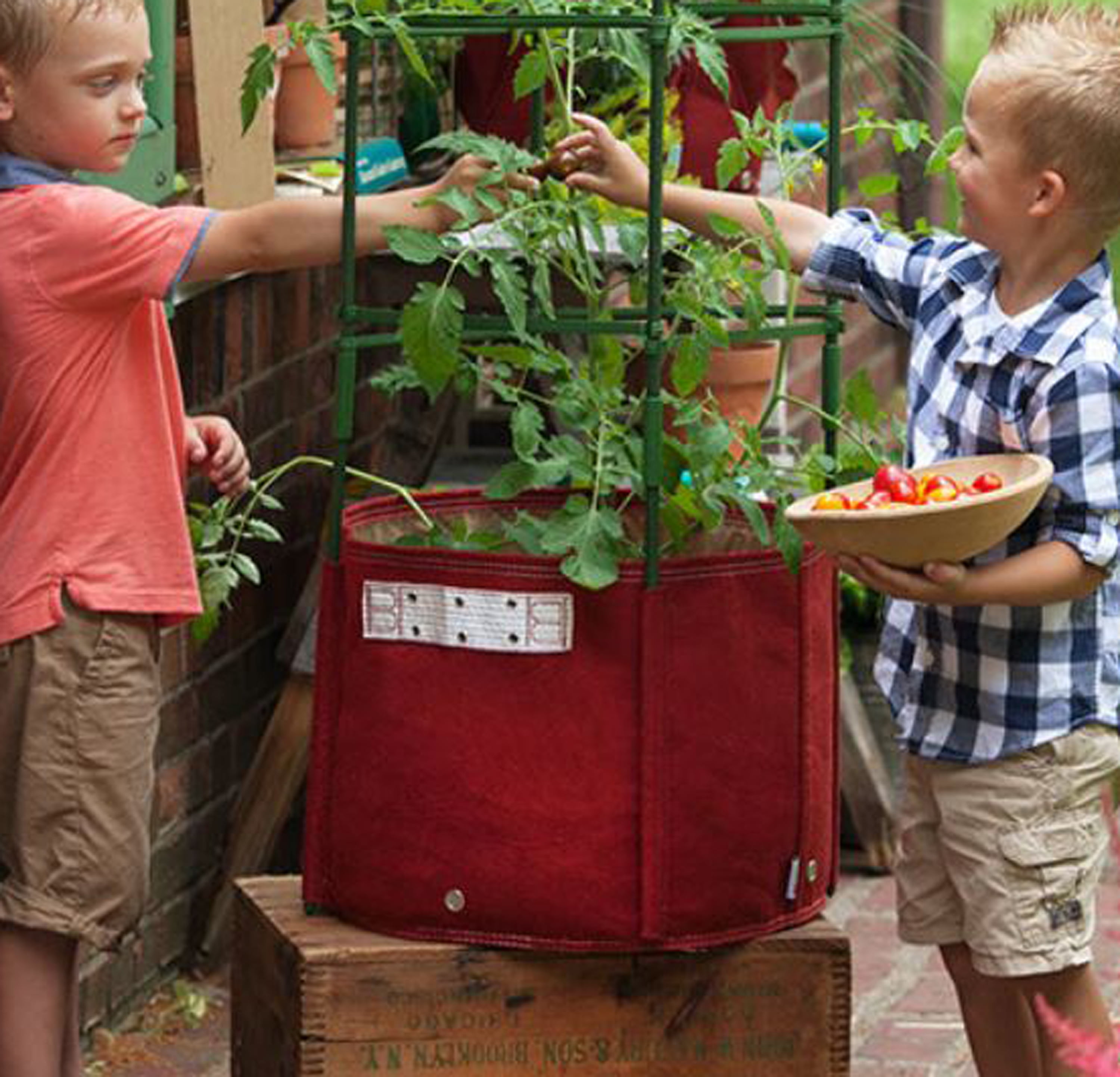 BloemBagz Tomato Vegetable Planter Grow Bag 15 Gallon Union Red