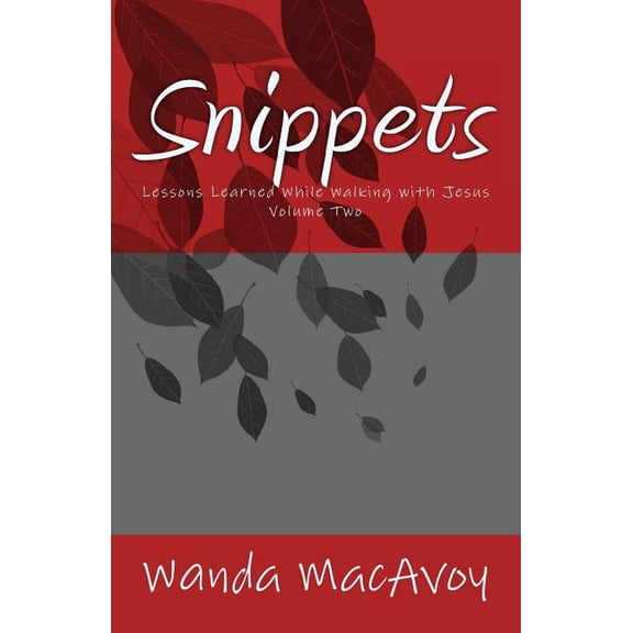 Blog Posts: Snippets: Lessons Learned While Walking with Jesus (Paperback)