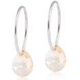 thumbnail image 1 of Blomdahl | Hypoallergenic | Natural Titanium Drop Crystal Pendant Earrings | Best Choice For Sensitive Ears, 1 of 3