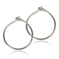 Blomdahl | Hypoallergenic | Natural Titanium Safety Ear Rings | Best ...