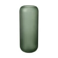 thumbnail image 1 of Blomus 65815 4 x 12 in. Ovalo Vase, Satin Green, 1 of 1