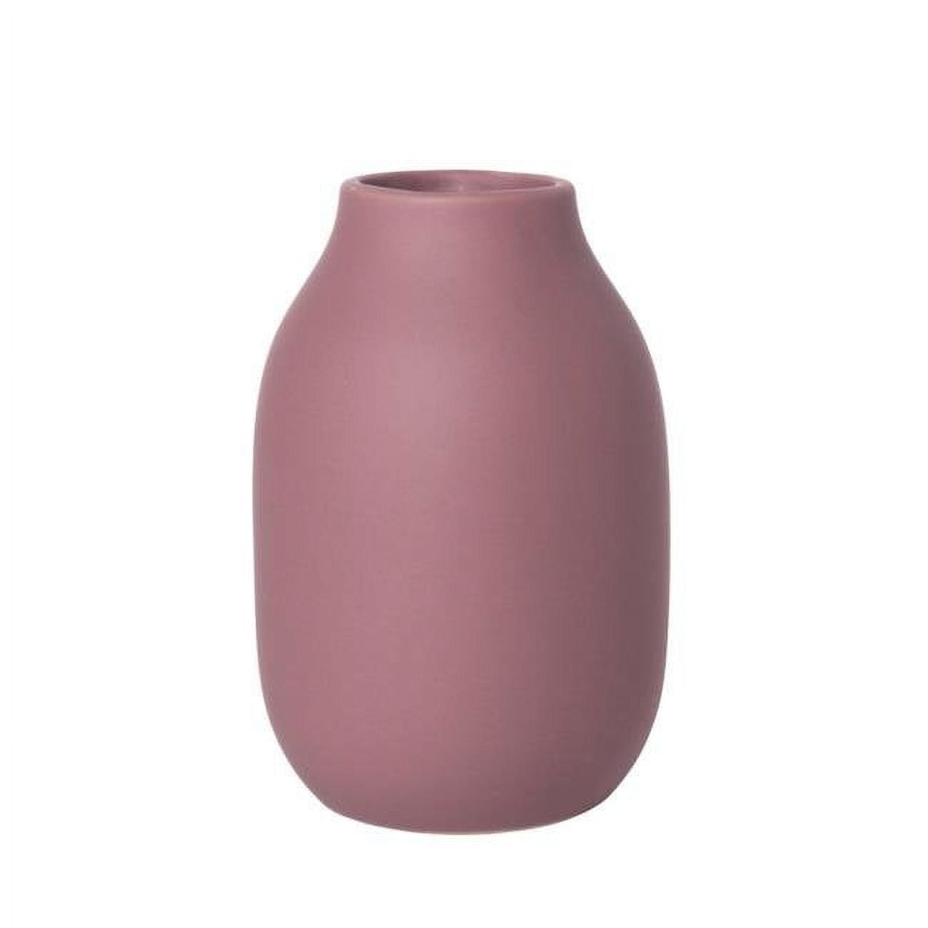 Blomus 65903 6 x 4 in. Colora Porcelain Vase, Rose Dust