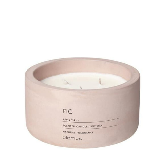 Blomus 65955 Fraga Scented Candle in Concrete Container, Rose Dust - Fig Fragrance - 3 Wick