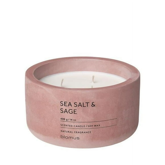 Blomus 65956 Fraga Scented Candle in Concrete Container, Withered Rose - Sea Salt & Sage Fragrance - 3 Wick